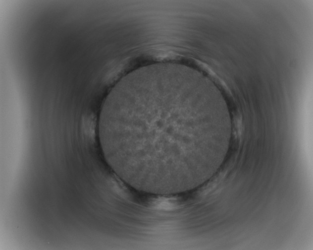 X0000115550664200911061534