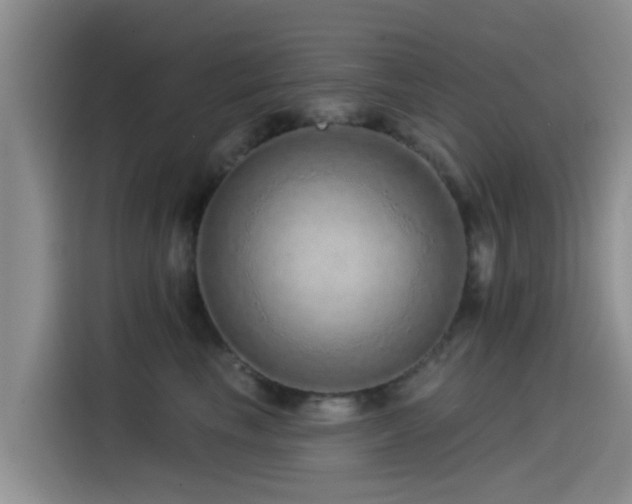 X0000115550665200911061534