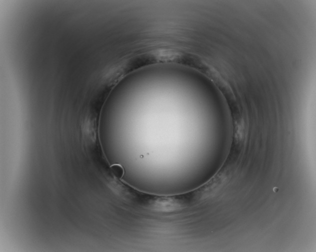 X0000115550666200911061534
