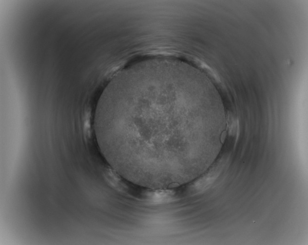 X0000115550670200911061534