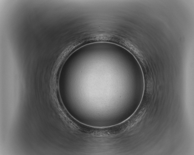 X0000115550673200911061533