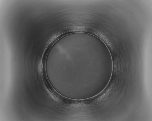 X0000115550674200911061533