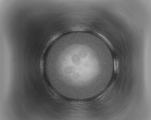 X0000115550675200911061533