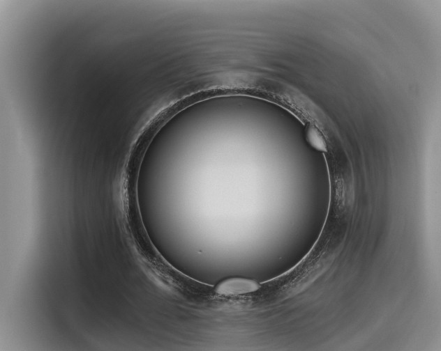 X0000115550676200911061533