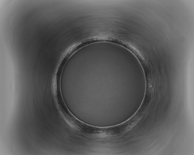 X0000115550678200911061533