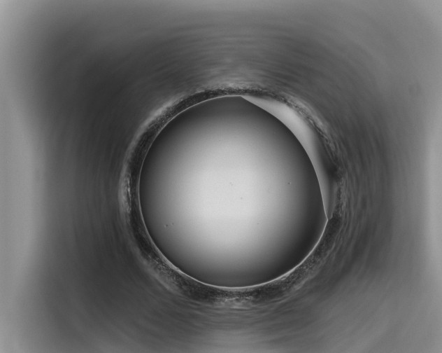 X0000115550680200911061533