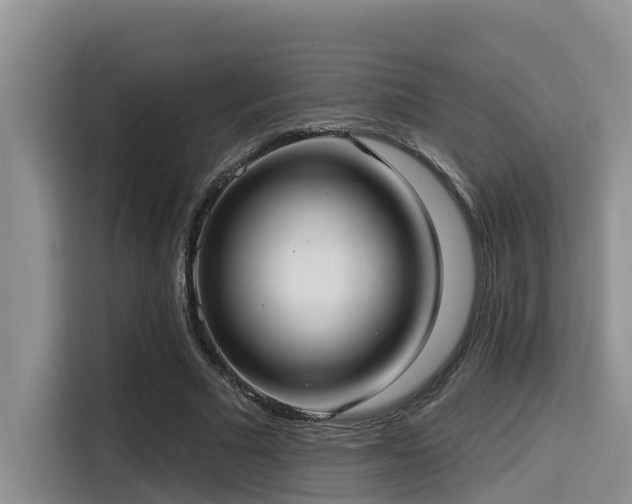 X0000115550681200911061533
