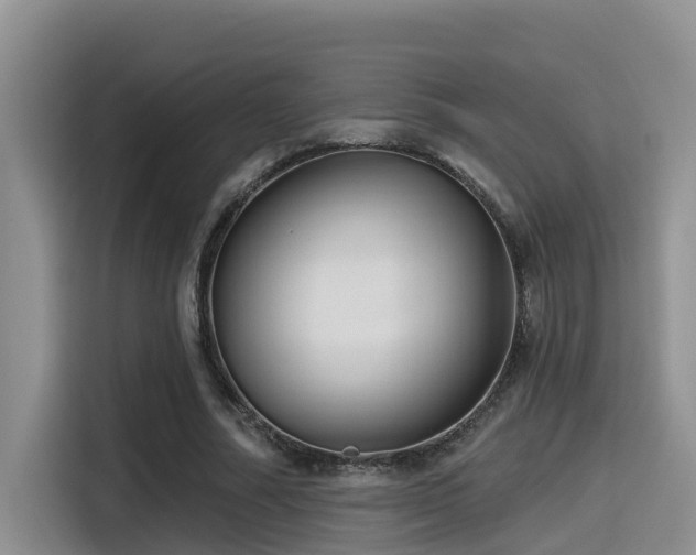 X0000115550682200911061533