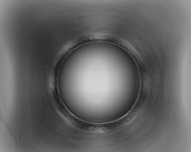 X0000115550683200911061533