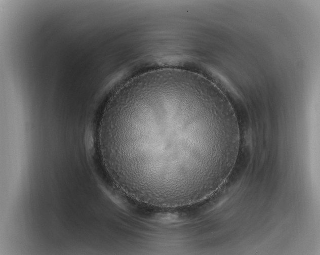 X0000115550687200911061533