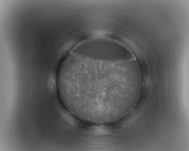 X0000115550688200911061533
