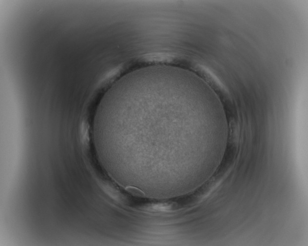 X0000115550692200911061533