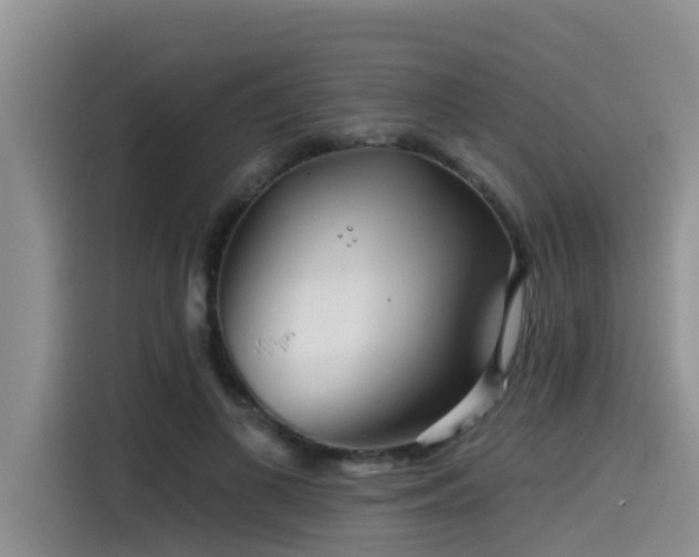 X0000115550693200911061533