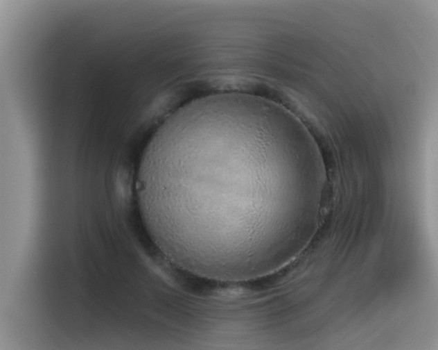 X0000115550695200911061533