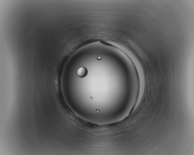 X0000115550696200911061533