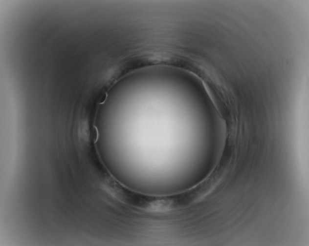 X0000115550700200911061533