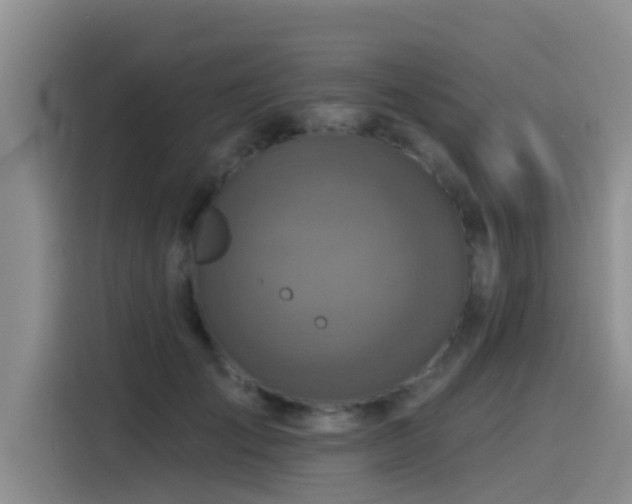 X0000115550701200911061533