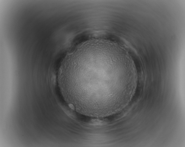 X0000115550703200911061533