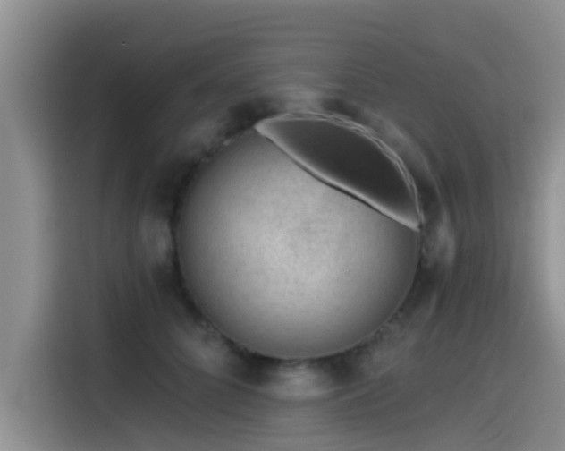 X0000115550704200911061533