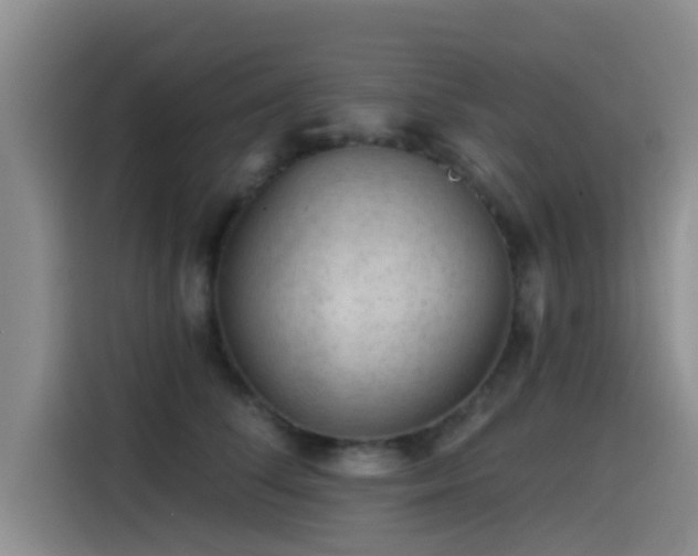 X0000115550708200911061533