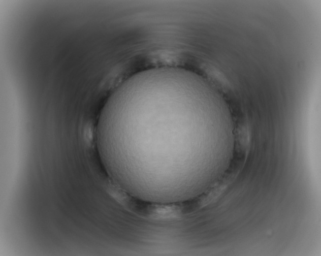 X0000115550709200911061533