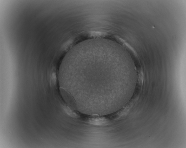 X0000115550716200911061533