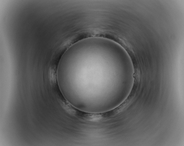X0000115550719200911061533