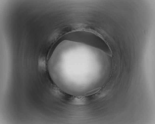 X0000115550720200911061533