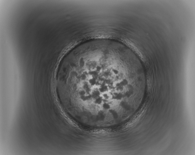 X0000115550721200911061532