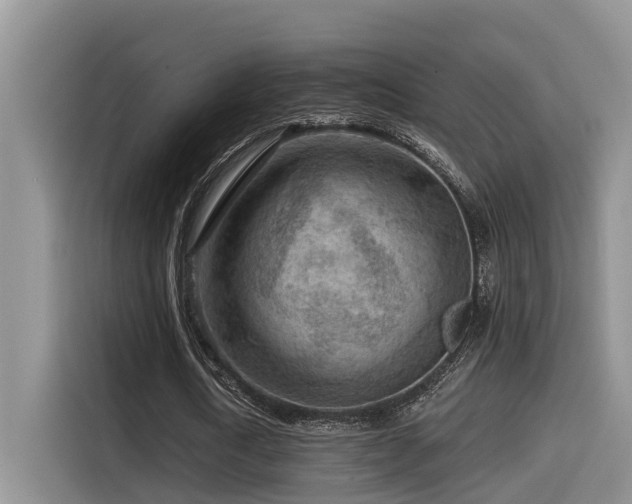 X0000115550722200911061532