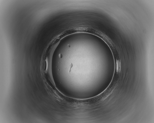 X0000115550723200911061532