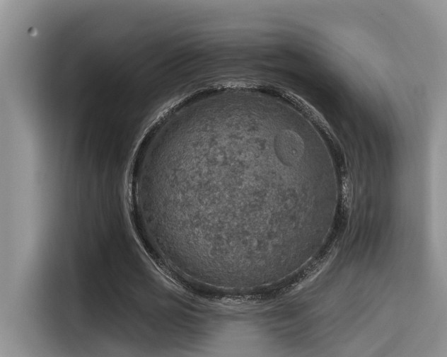X0000115550725200911061532