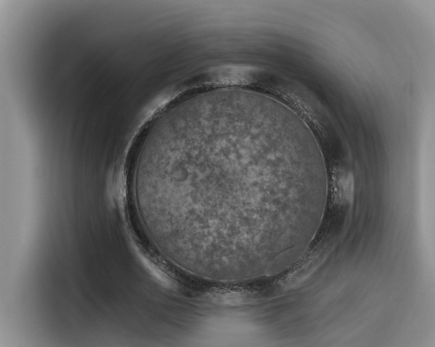 X0000115550726200911061532