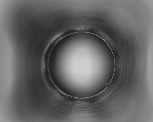 X0000115550727200911061532