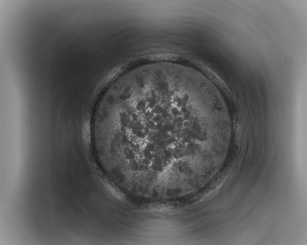 X0000115550729200911061532