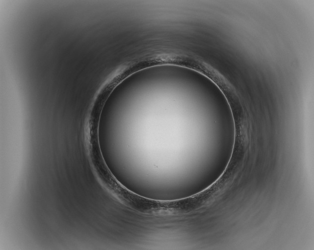 X0000115550730200911061532