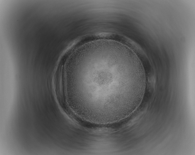 X0000115550734200911061532