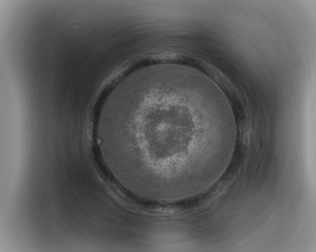 X0000115550735200911061532