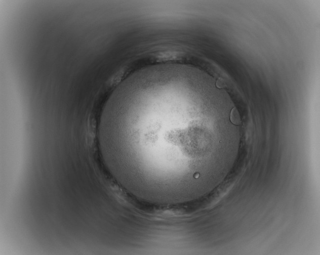 X0000115550737200911061532
