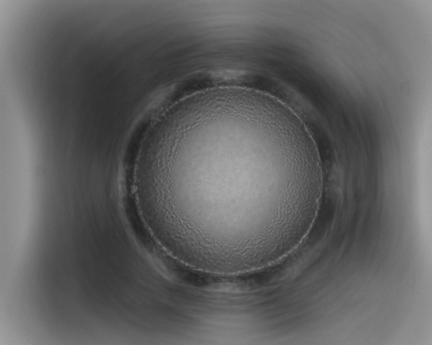 X0000115550738200911061532