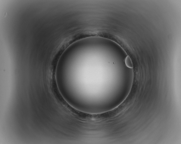 X0000115550739200911061532