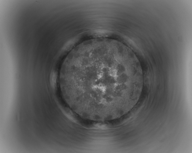 X0000115550742200911061532
