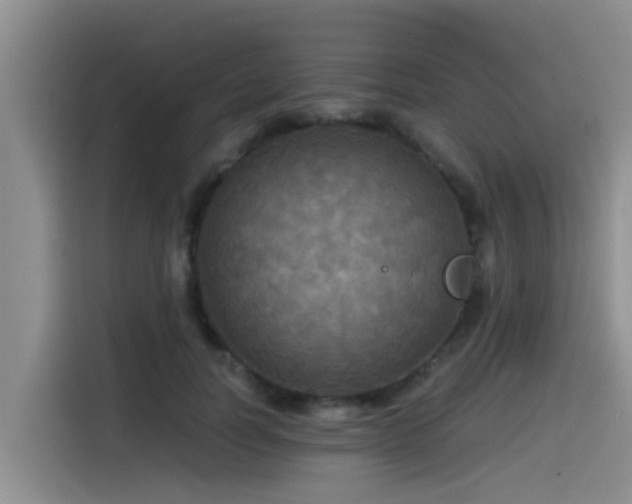 X0000115550746200911061532