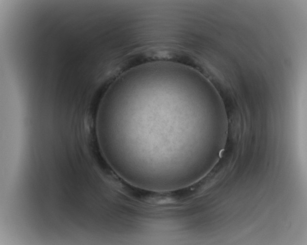 X0000115550747200911061532