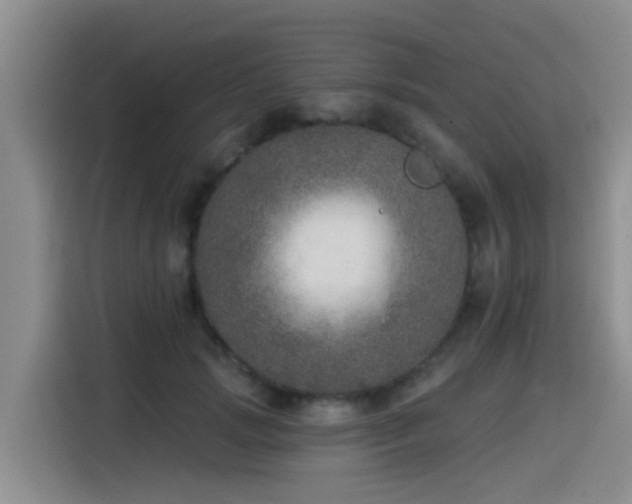 X0000115550749200911061532