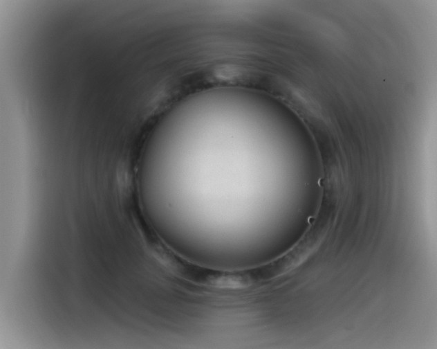 X0000115550751200911061532