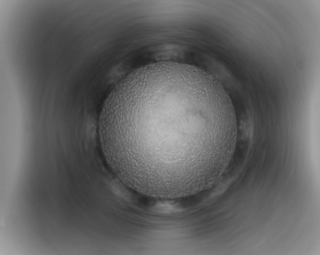 X0000115550753200911061532