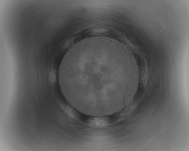 X0000115550758200911061533