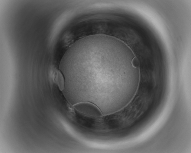 X0000115550766200911061533