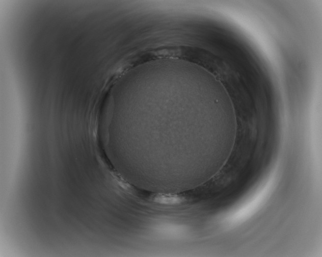X0000115550767200911061533